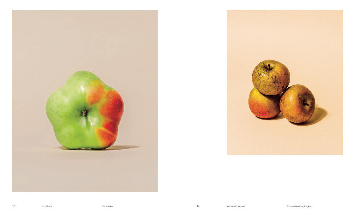 Bild: 9783775751155 | Odd Apples | (Special Edition) | A.A. Trabucco-Campos (u. a.) | Buch