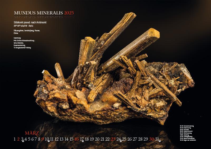 Bild: 9783957561398 | MUNDUS MINERALIS 2025 | Die Welt der Mineralien | Jörg Neubert | 2025