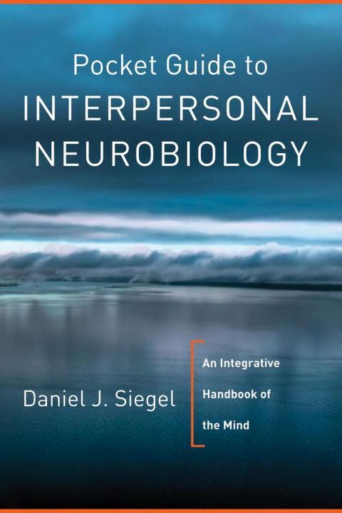 Cover: 9780393707137 | Pocket Guide to Interpersonal Neurobiology | Daniel J Siegel | Buch