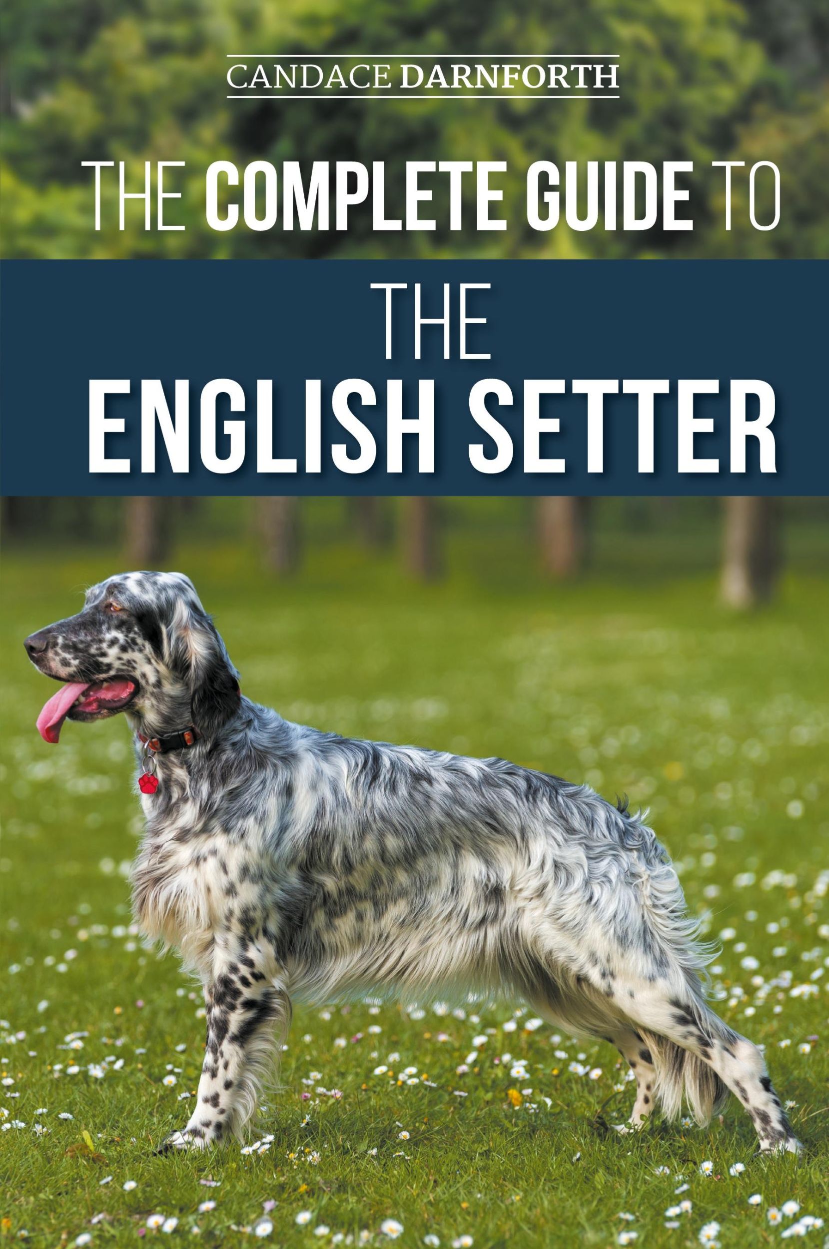 Cover: 9781954288737 | The Complete Guide to the English Setter | Candace Darnforth | Buch