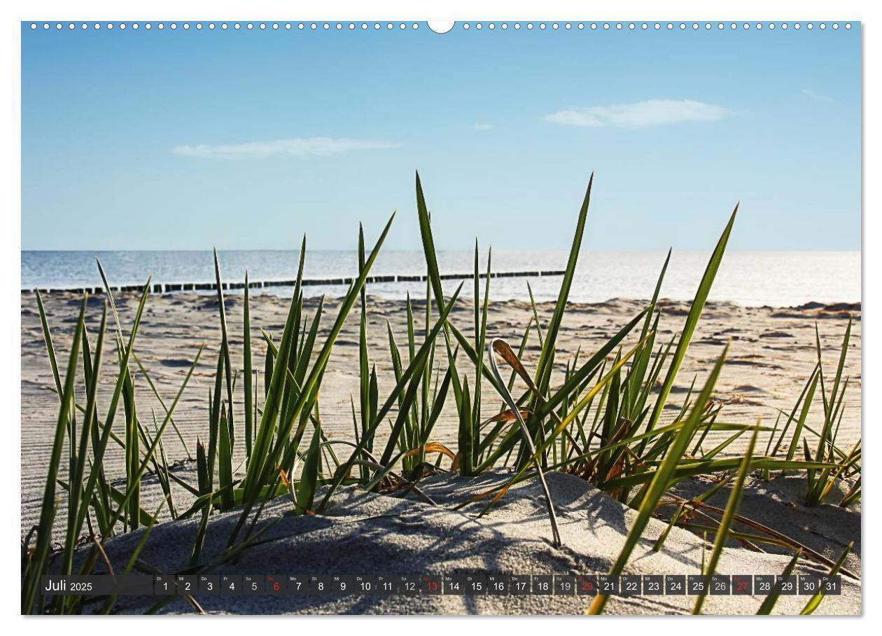 Bild: 9783435752799 | Insel Hiddensee (hochwertiger Premium Wandkalender 2025 DIN A2...