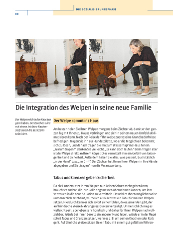 Bild: 9783440112342 | Vom Welpen zum Familienhund mit Natural Dogmanship | Jan Nijboer