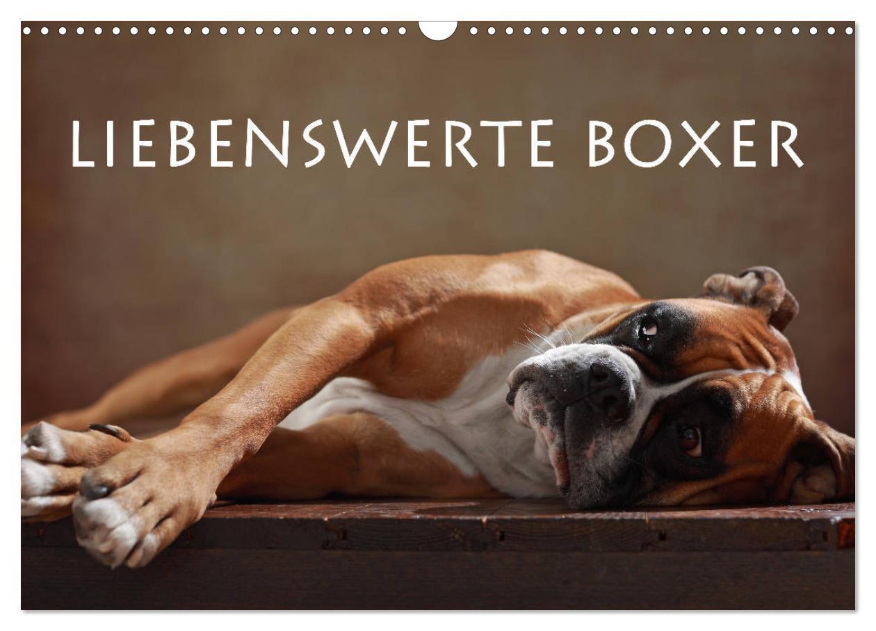 Cover: 9783435436255 | Liebenswerte Boxer (Wandkalender 2025 DIN A3 quer), CALVENDO...