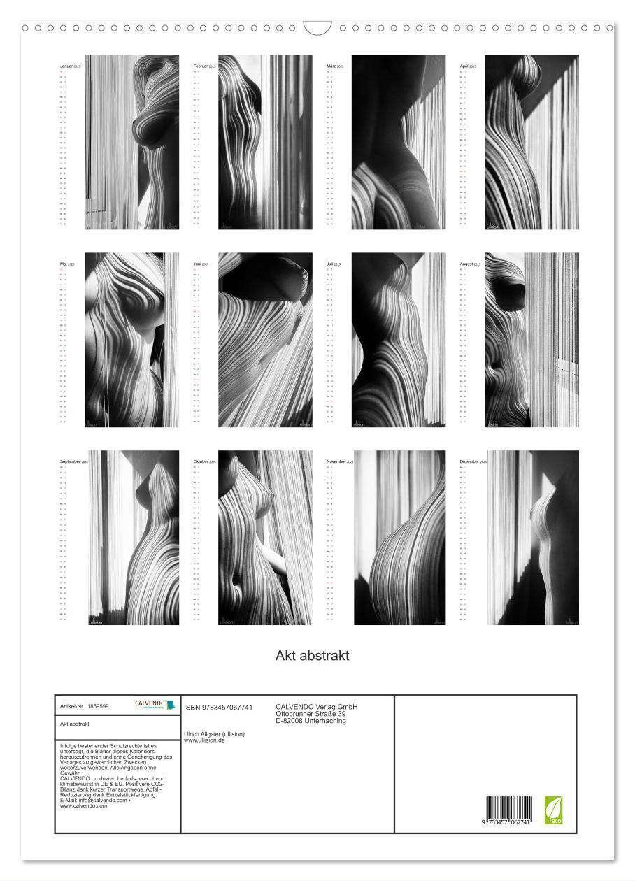 Bild: 9783457067741 | Akt abstrakt (Wandkalender 2025 DIN A2 hoch), CALVENDO Monatskalender