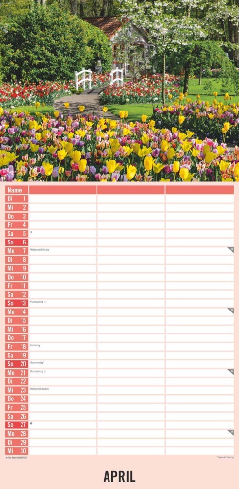 Bild: 4251732343262 | Alpha Edition - Gartenzauber 2025 Streifenplaner, 22x45cm, Kalender...