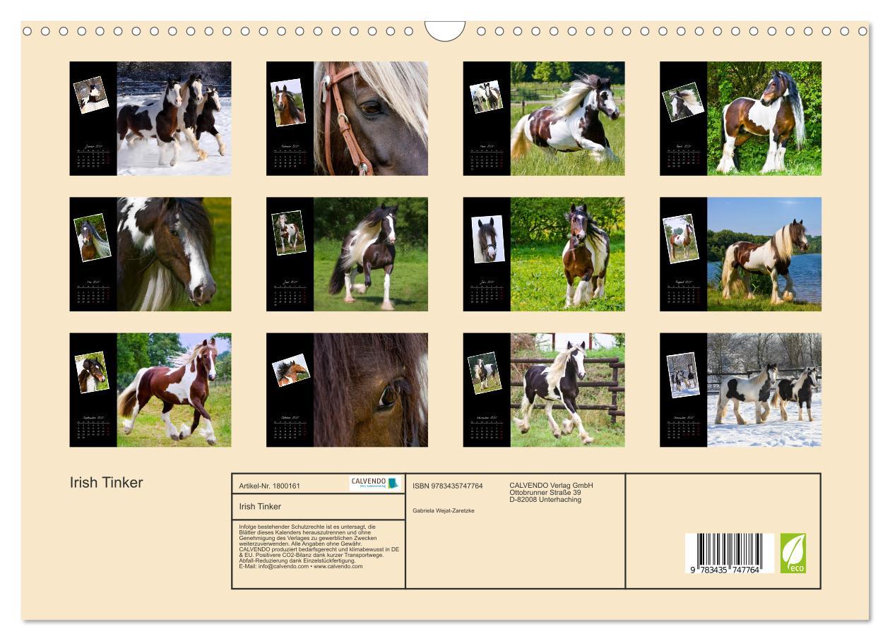 Bild: 9783435747764 | Irish Tinker (Wandkalender 2025 DIN A3 quer), CALVENDO Monatskalender