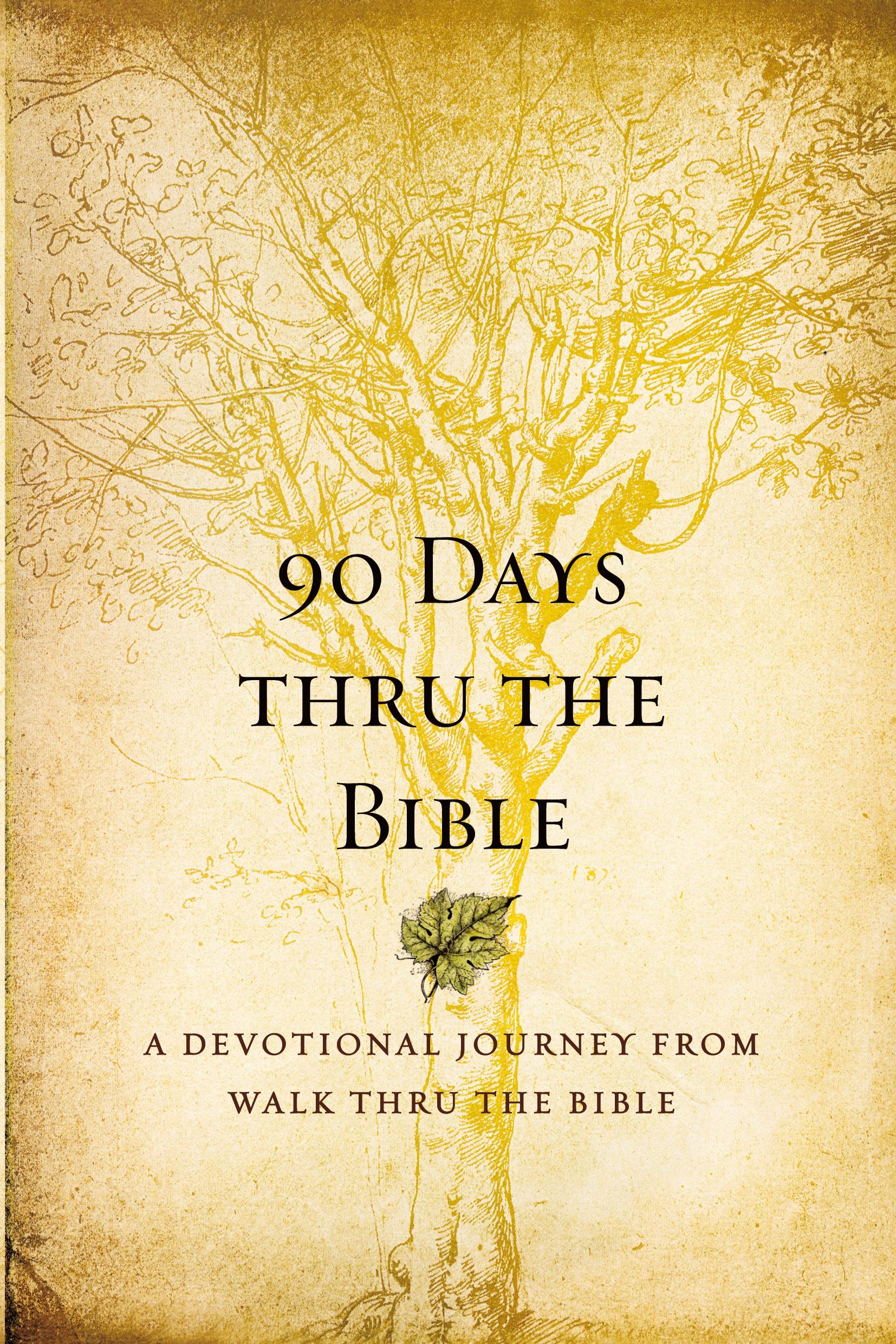 Cover: 9781414353098 | 90 Days Thru the Bible | Chris Tiegreen | Taschenbuch | Paperback