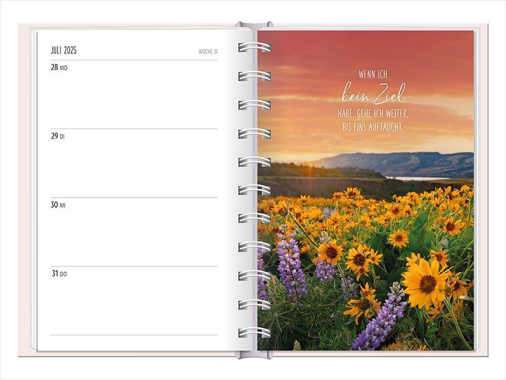 Bild: 9783986360764 | Terminplaner 2025 Lichtblicke | Terminplaner Hardcover | Original