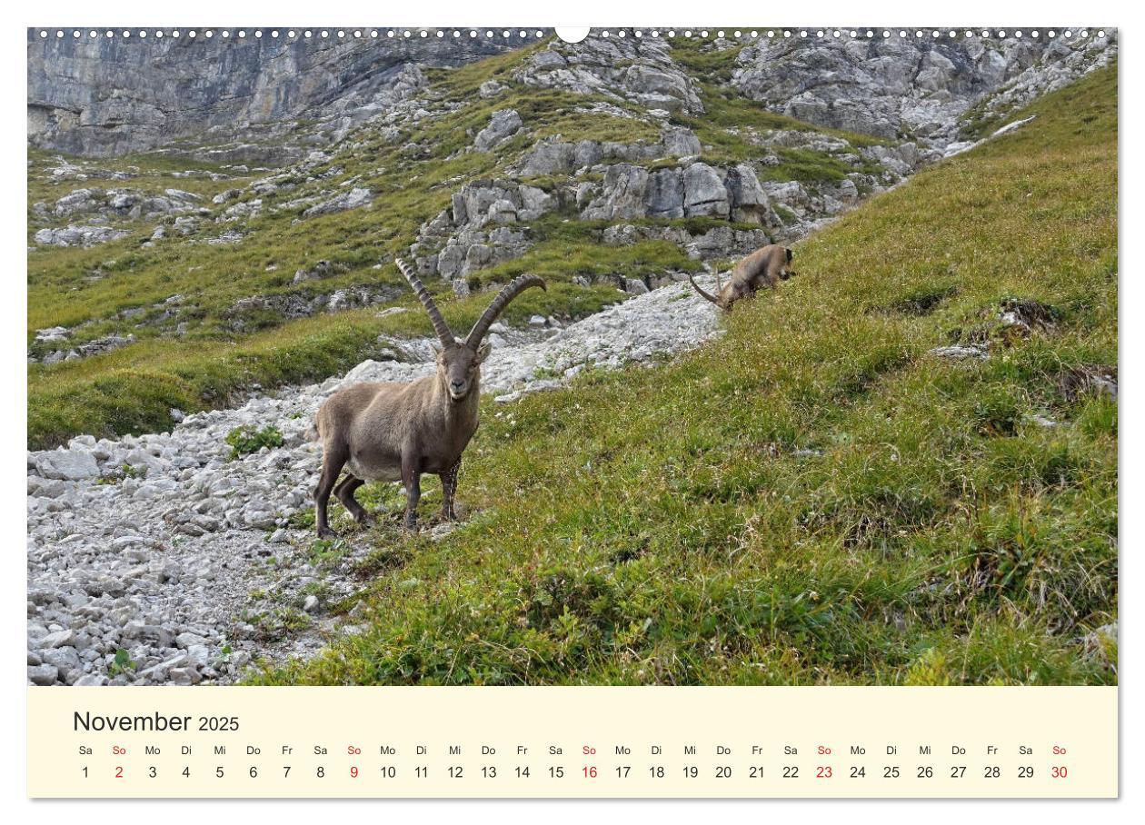 Bild: 9783435188703 | Wanderglück im Allgäu (hochwertiger Premium Wandkalender 2025 DIN...