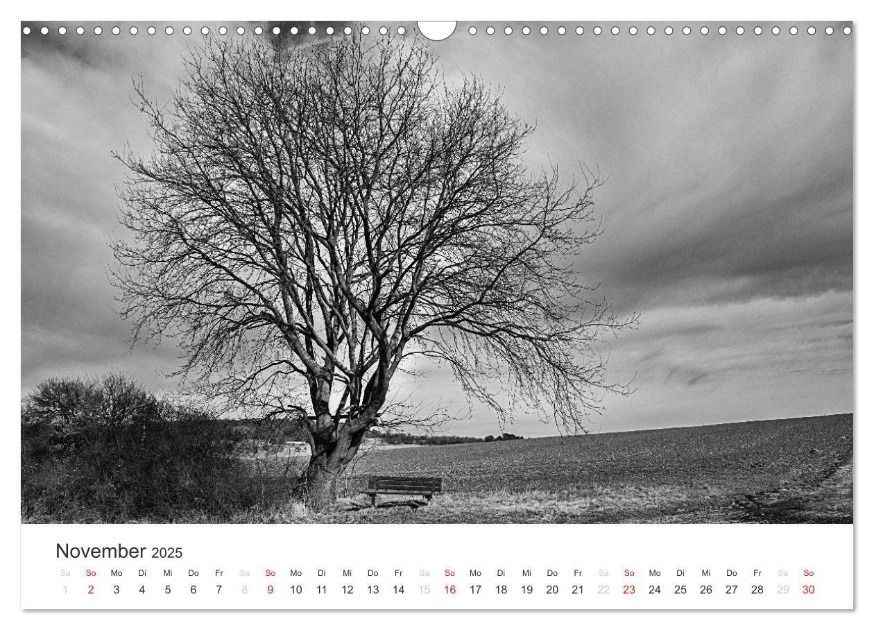 Bild: 9783435660469 | Bäume - Naturschönheiten in schwarz-weiß (Wandkalender 2025 DIN A3...