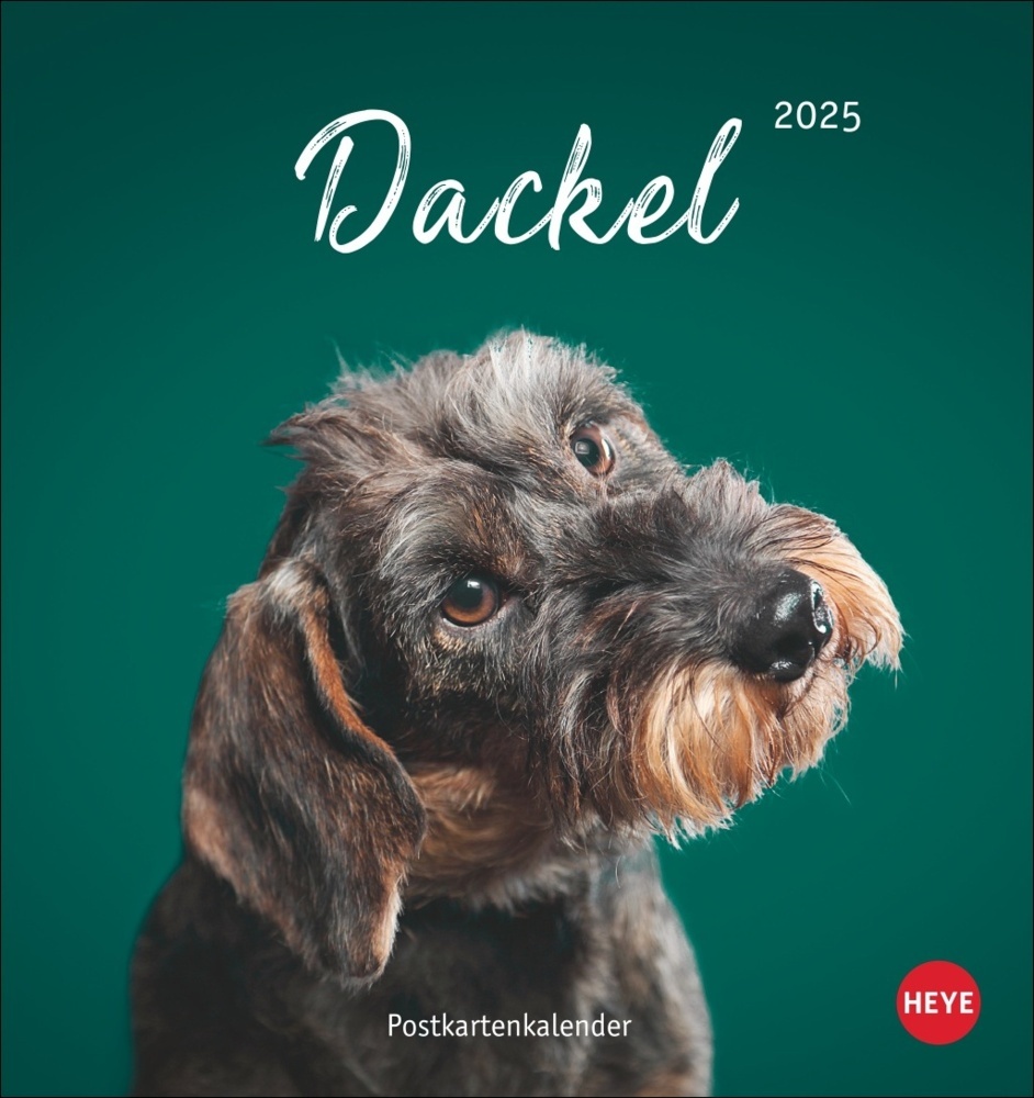 Cover: 9783756407156 | Dackel Postkartenkalender 2025 | Kalender | Spiralbindung | 13 S.