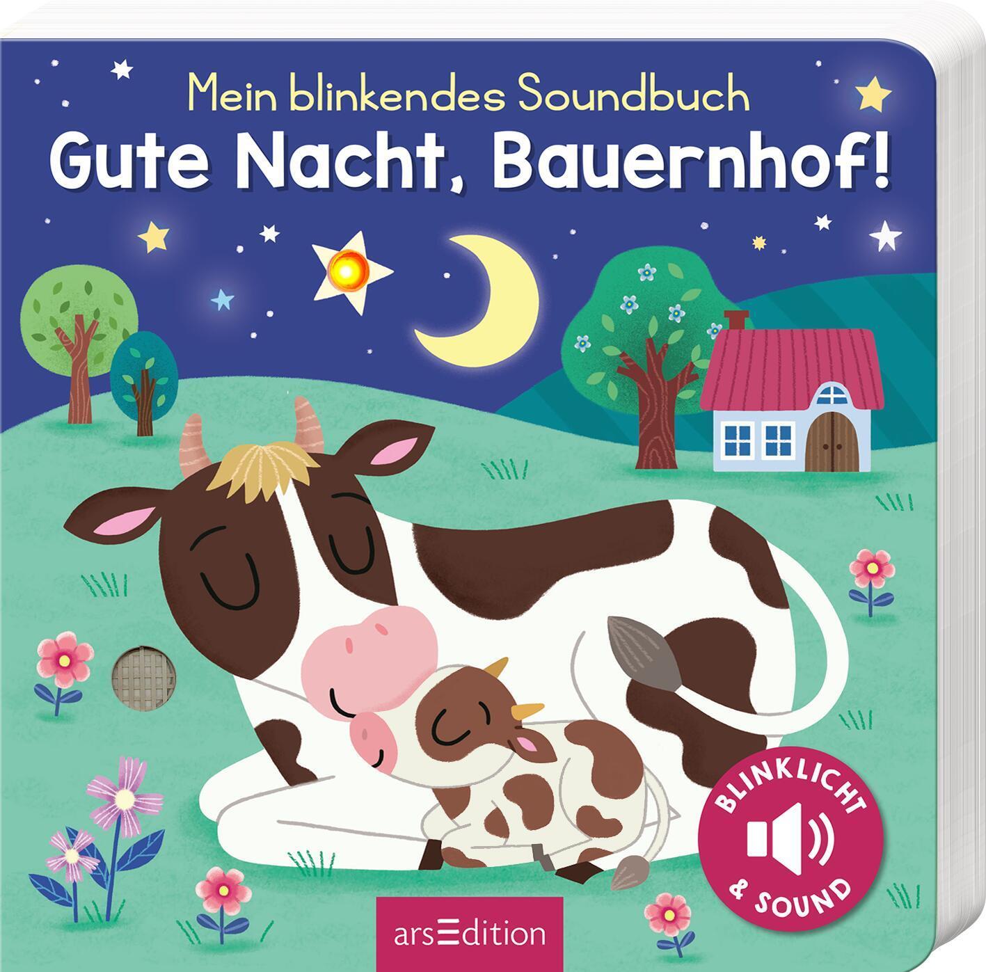 Cover: 9783845852430 | Mein blinkendes Soundbuch - Gute Nacht, Bauernhof! | Sound mit 1 LED