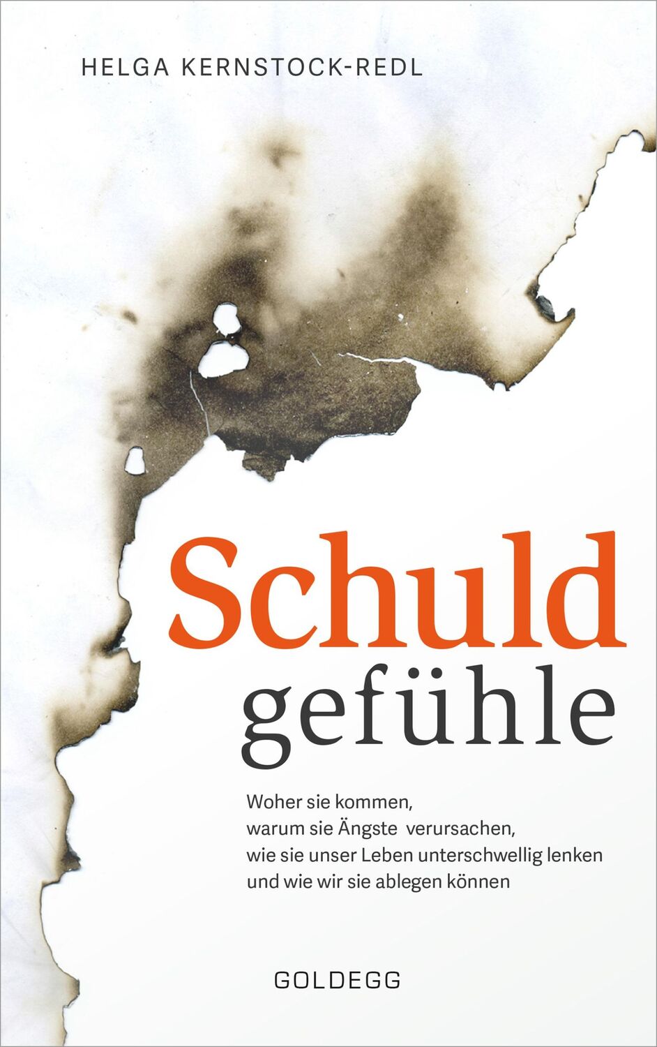 Cover: 9783990601549 | Schuldgefühle. Woher sie kommen, welche Ängste sie verursachen, wie...