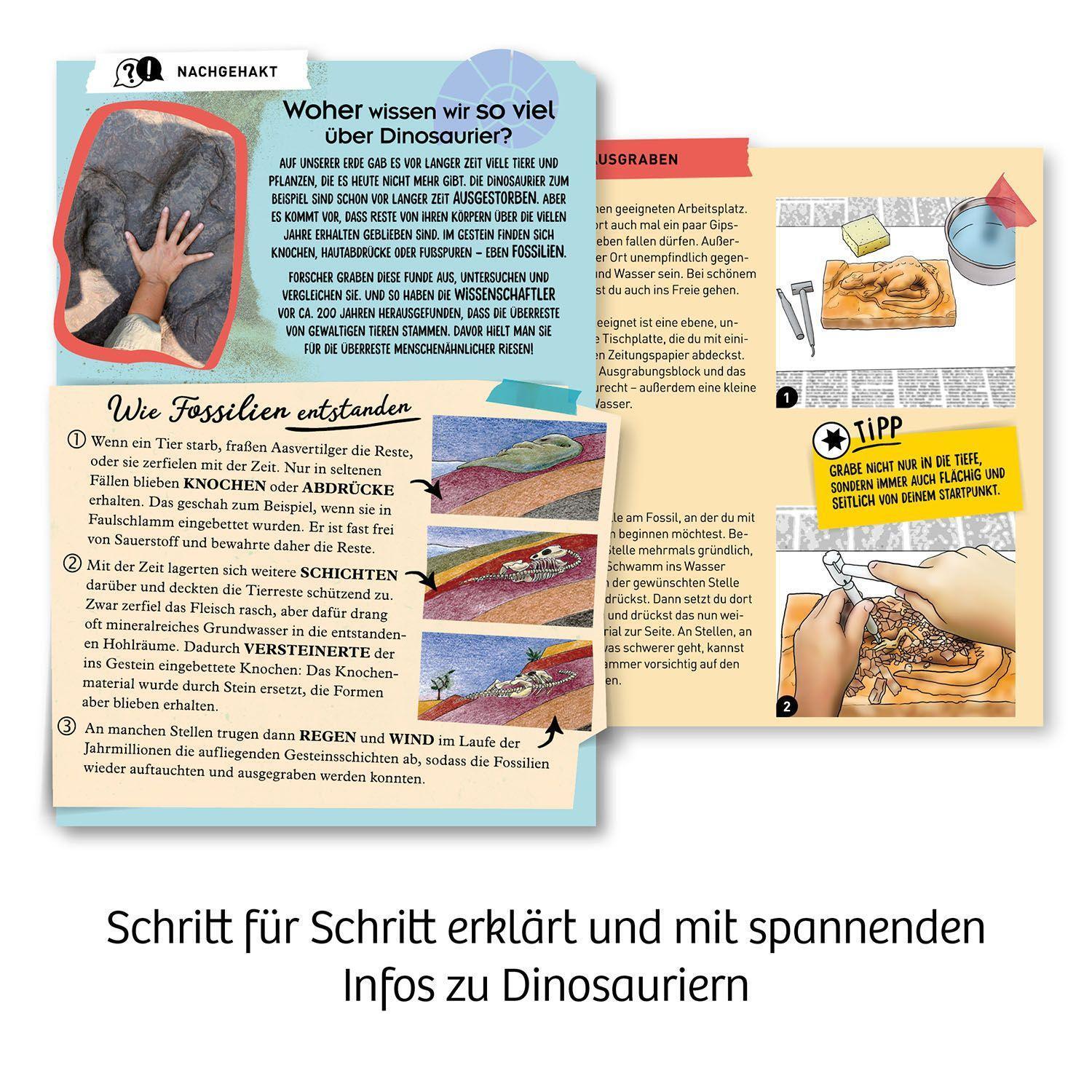 Bild: 4002051636159 | T-REX - 3D | Experimentierkasten | Spiel | Deutsch | 2022 | Kosmos