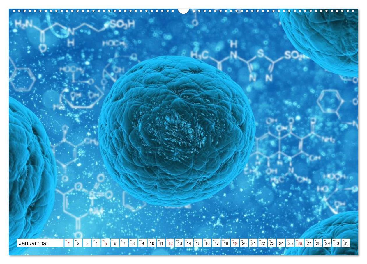 Bild: 9783435483334 | Mikrobiologie. Mikroorganismen, Genetik und Zellen (Wandkalender...