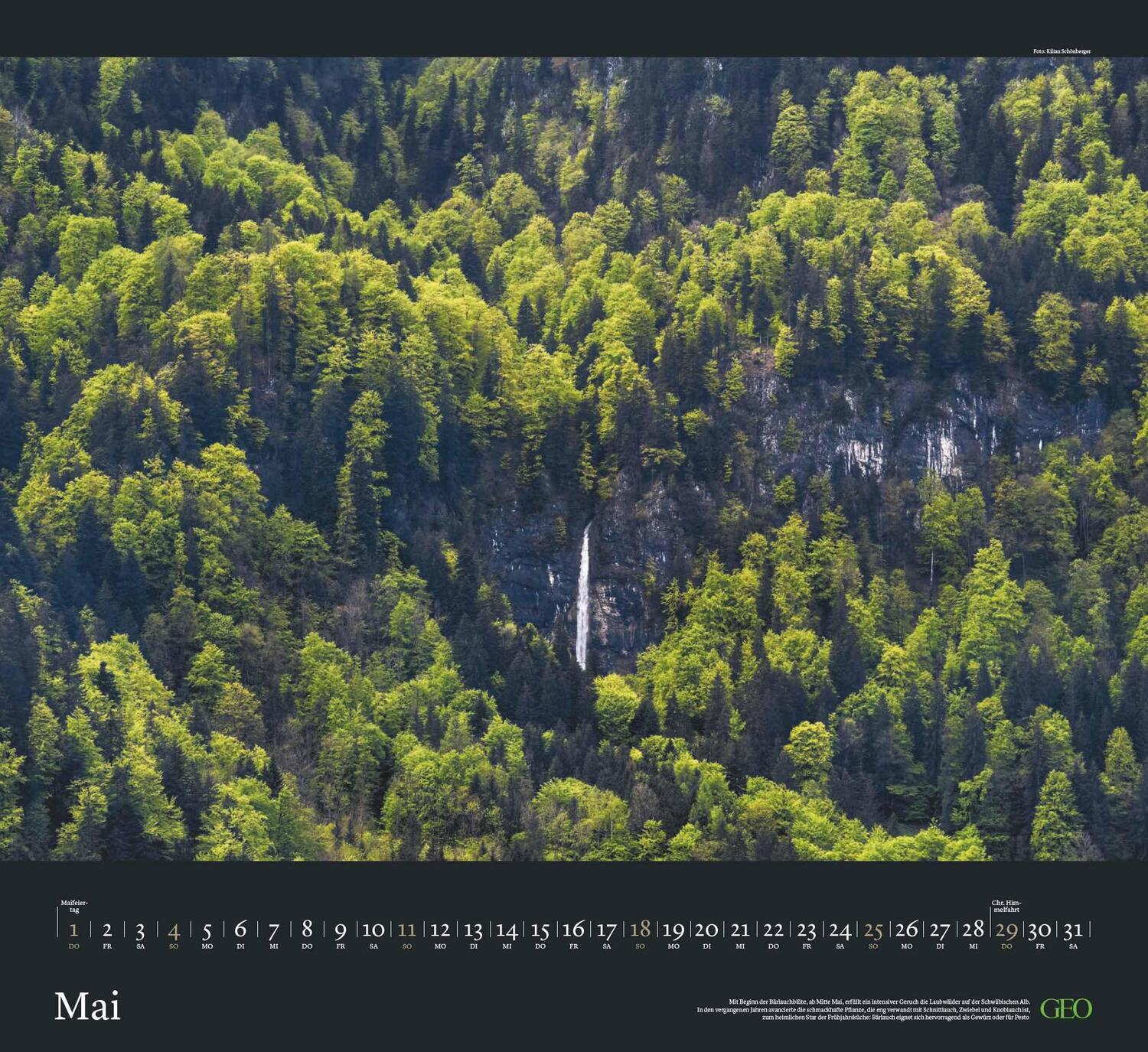 Bild: 4002725988683 | GEO Kalender: Sehnsucht Wald 2025 - Wand-Kalender - Natur-Kalender...