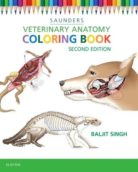 Cover: 9781455776849 | Veterinary Anatomy Coloring Book | Saunders Saunders | Taschenbuch