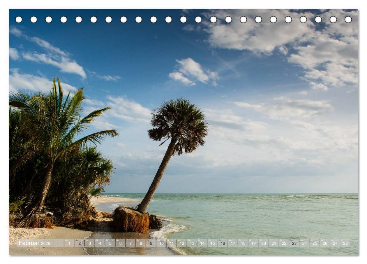 Bild: 9783435601417 | Florida. Sonne und Meer (Tischkalender 2025 DIN A5 quer), CALVENDO...