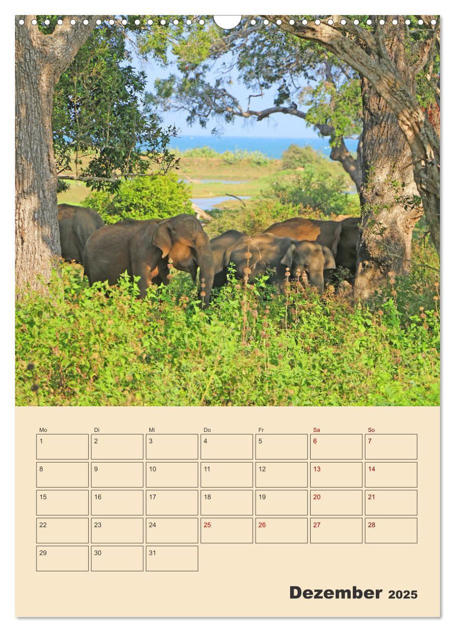 Bild: 9783435884612 | Sri Lanka - Terminplaner (Wandkalender 2025 DIN A3 hoch), CALVENDO...