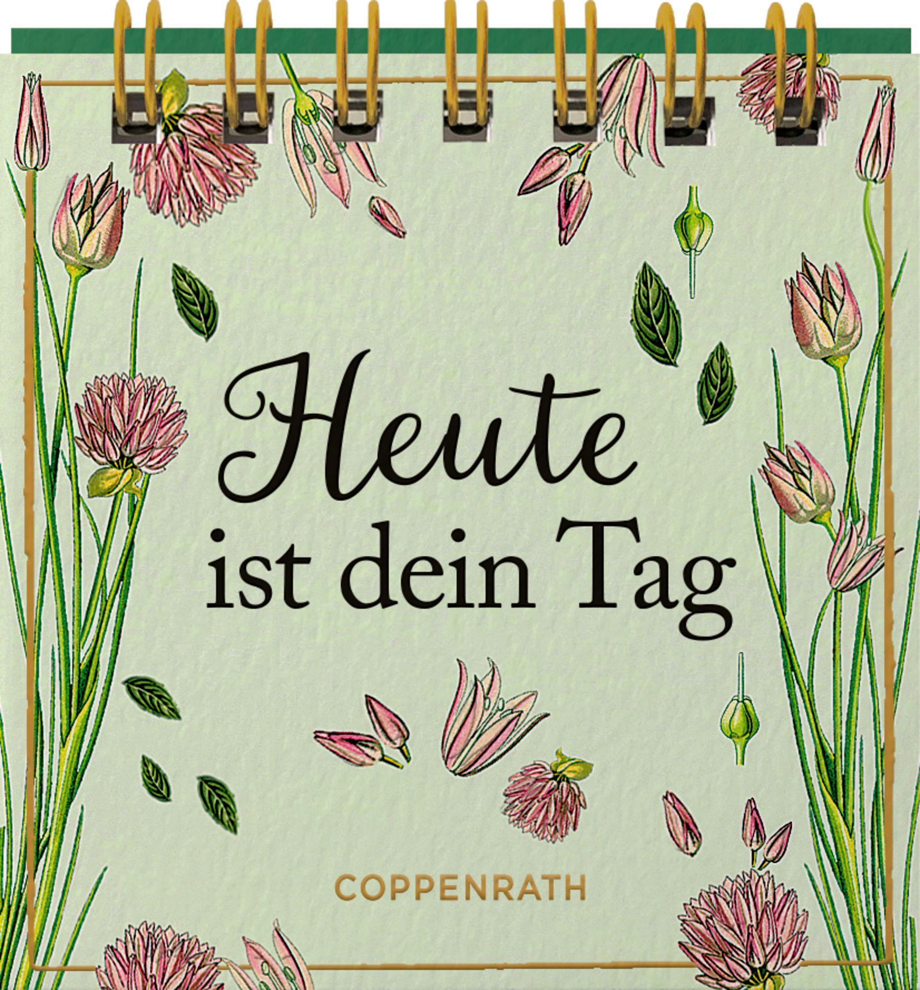 Bild: 9783649648314 | Heute ist dein Tag | Taschenbuch | 24 S. | Deutsch | 2024 | Coppenrath