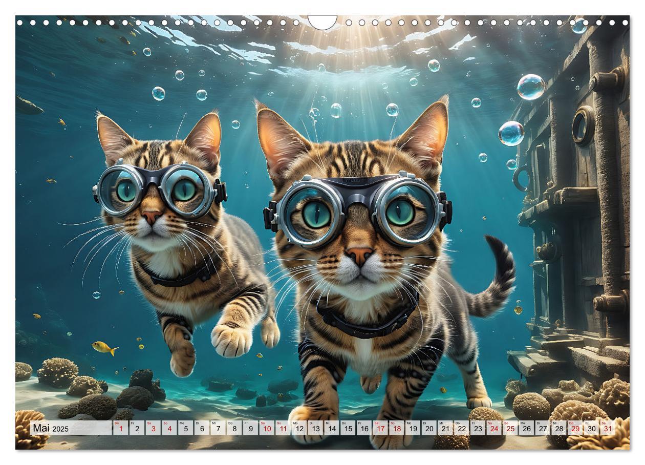 Bild: 9783383842542 | Katzen unter Wasser (Wandkalender 2025 DIN A3 quer), CALVENDO...