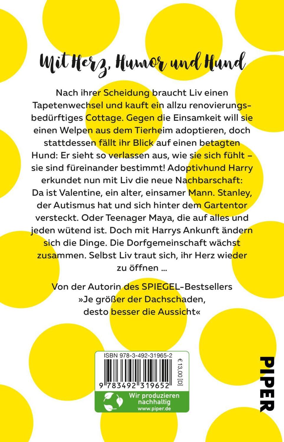 Rückseite: 9783492319652 | Lieber mit dem Kopf durch die Wand als gar kein Durchblick | Potter