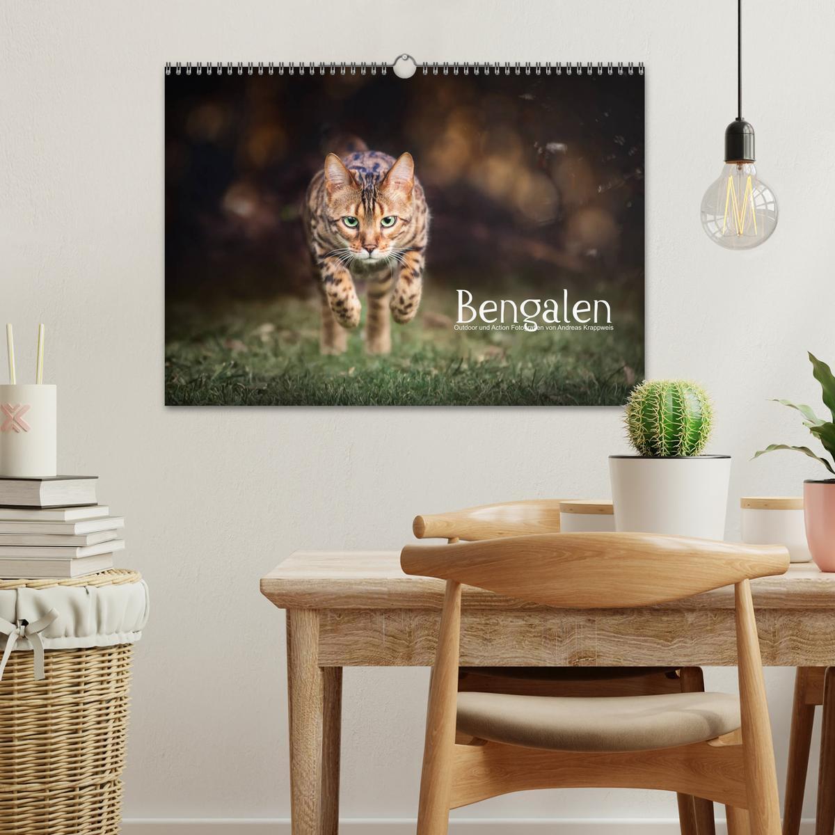 Bild: 9783435336432 | Bengalen Outdoor und Action (Wandkalender 2025 DIN A3 quer),...