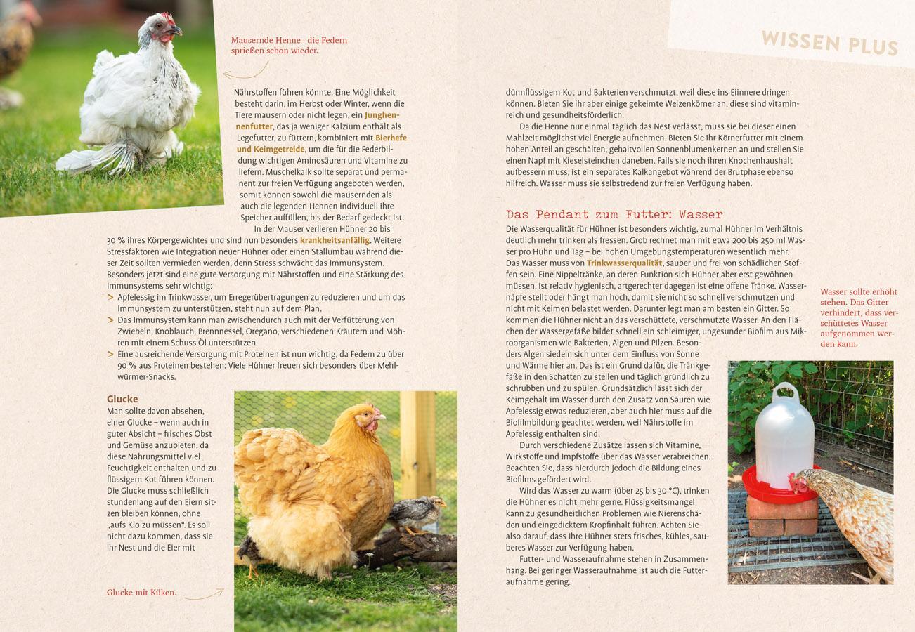 Bild: 9783818622237 | Hilfe, mein Huhn niest! | Katrin Sewerin | Taschenbuch | 128 S. | 2024