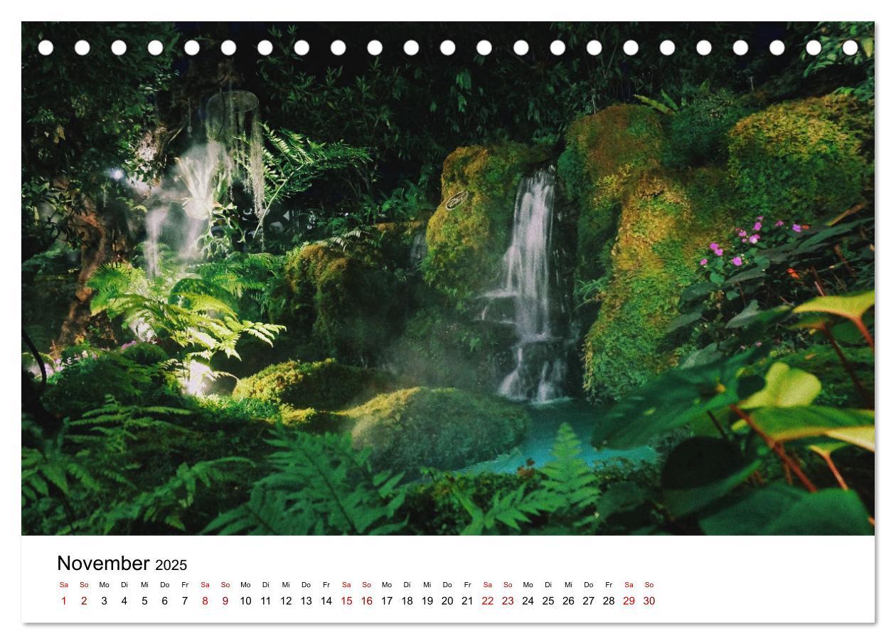 Bild: 9783383997129 | Naturparadies Madagaskar (Tischkalender 2025 DIN A5 quer), CALVENDO...