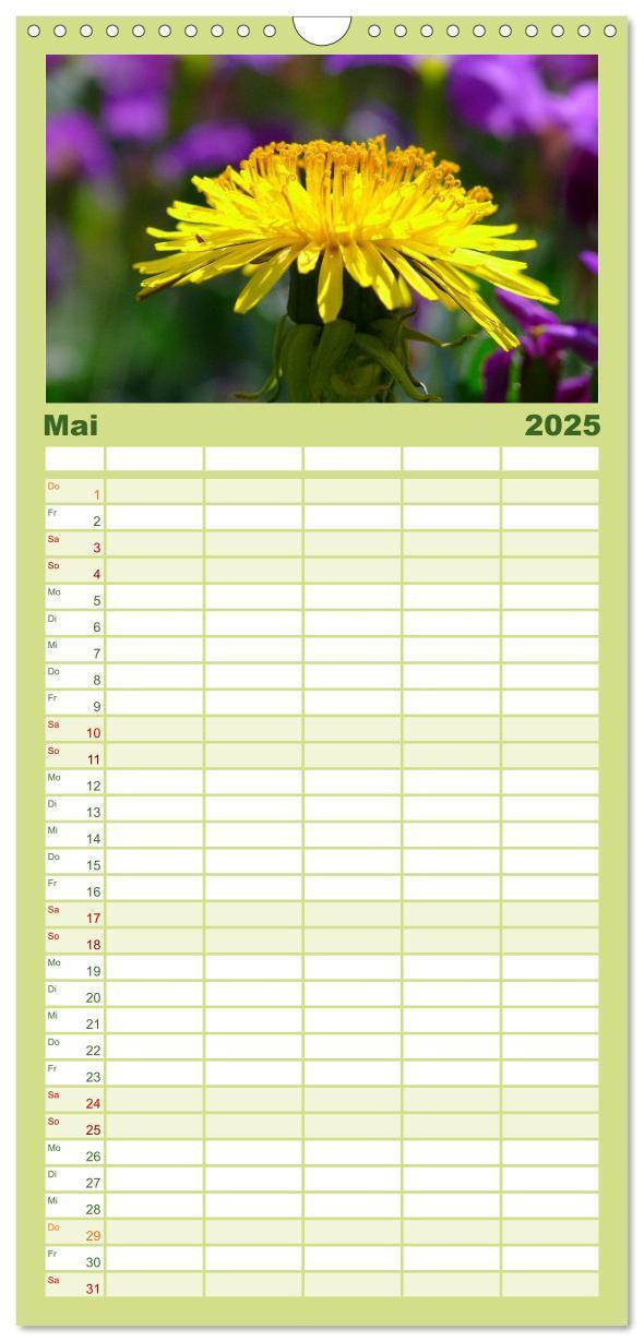 Bild: 9783457120347 | Familienplaner 2025 - Wildblumen 2025 mit 5 Spalten (Wandkalender,...