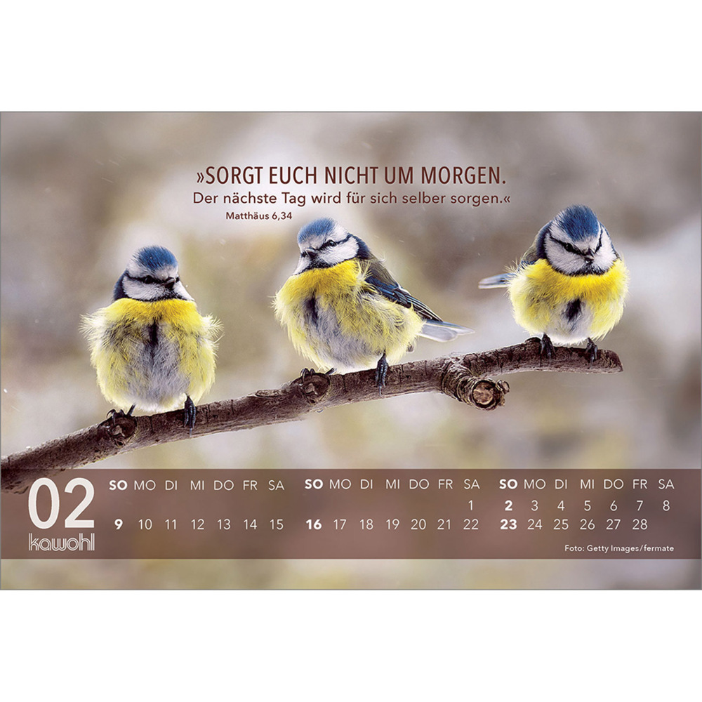 Bild: 9783754891551 | Jesus Zitate 2025 | Wegweisende Worte und brillante Bilder | Kalender