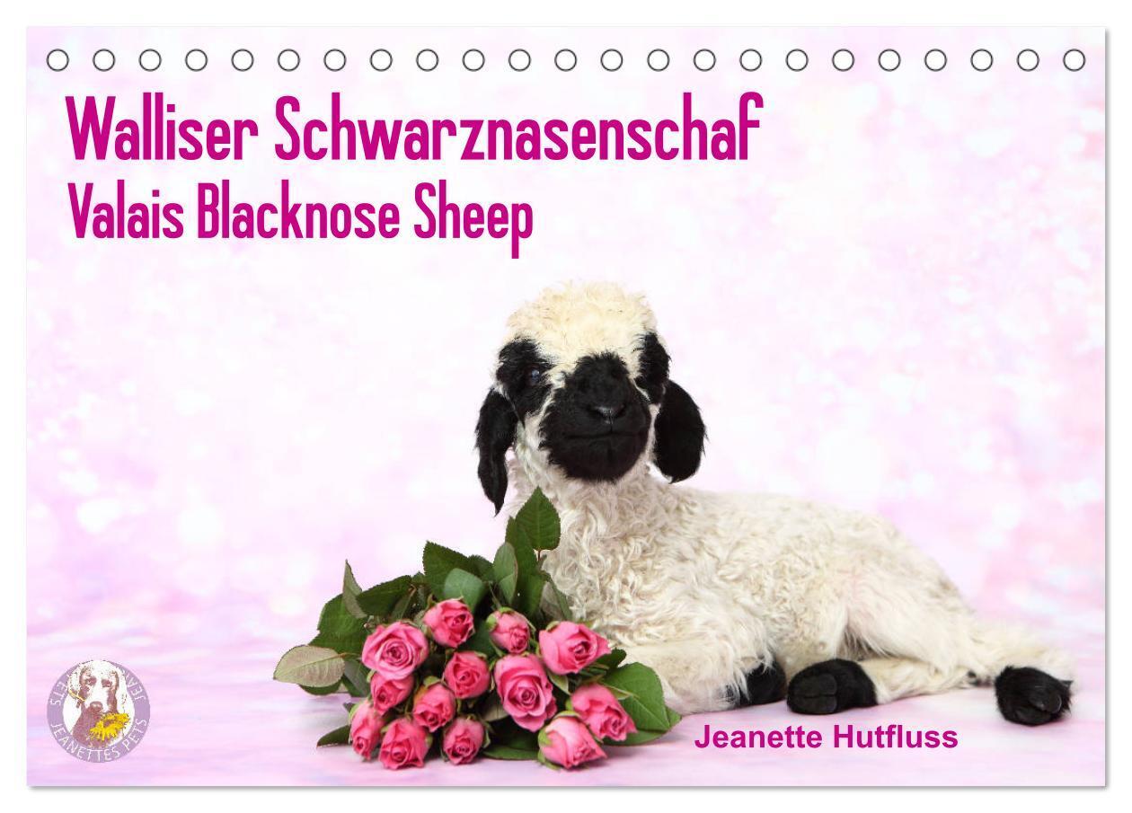 Cover: 9783435326068 | Walliser Schwarznasenschaf Valais Blacknose Sheep (Tischkalender...