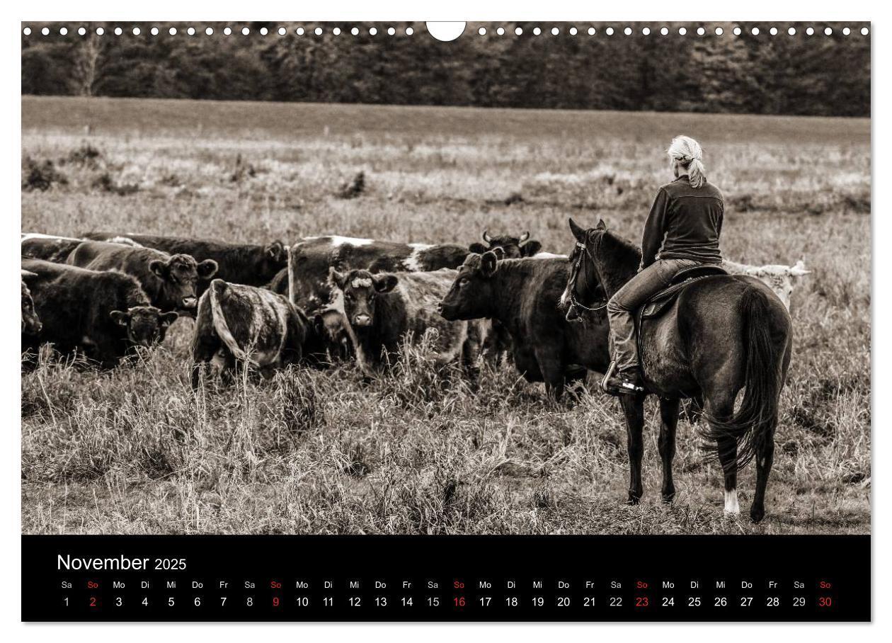 Bild: 9783435569656 | Westernreiten (Wandkalender 2025 DIN A3 quer), CALVENDO Monatskalender