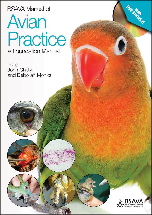 Cover: 9781905319817 | BSAVA Manual of Avian Practice: A Foundation Manual | Chitty (u. a.)