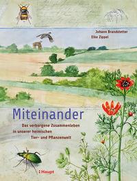 Cover: 9783258082974 | Miteinander | Johann Brandstetter (u. a.) | Buch | 224 S. | Deutsch