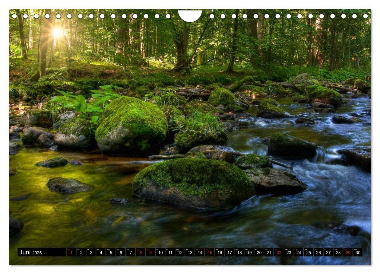 Bild: 9783435789979 | Harz Landschaften (Wandkalender 2025 DIN A4 quer), CALVENDO...