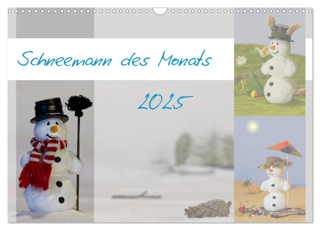 Cover: 9783435812110 | Schneemann des Monats 2025 (Wandkalender 2025 DIN A3 quer),...