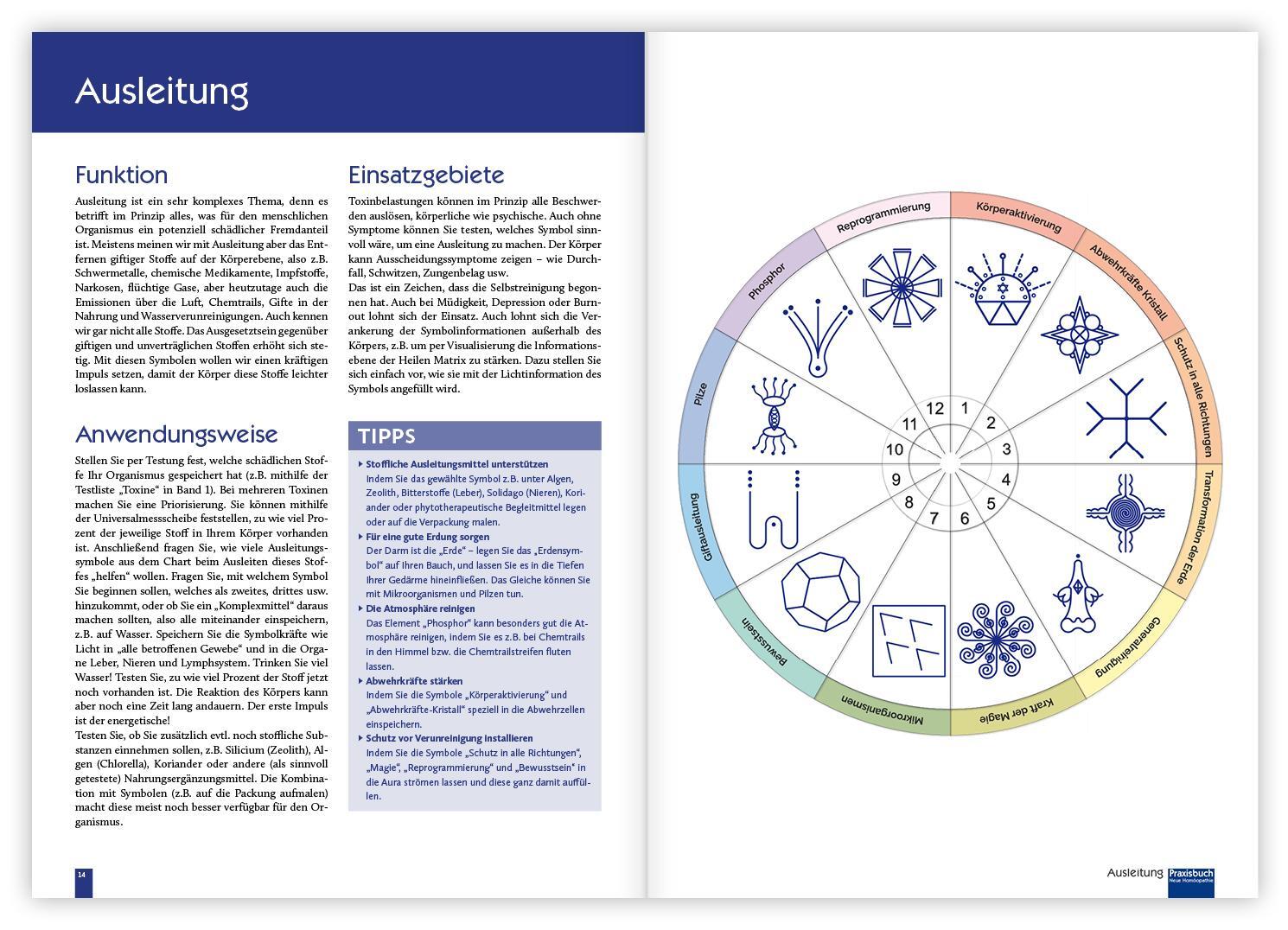 Bild: 9783863747213 | Praxisbuch Neue Homöopathie. Band 2 | Christina Baumann (u. a.) | Buch