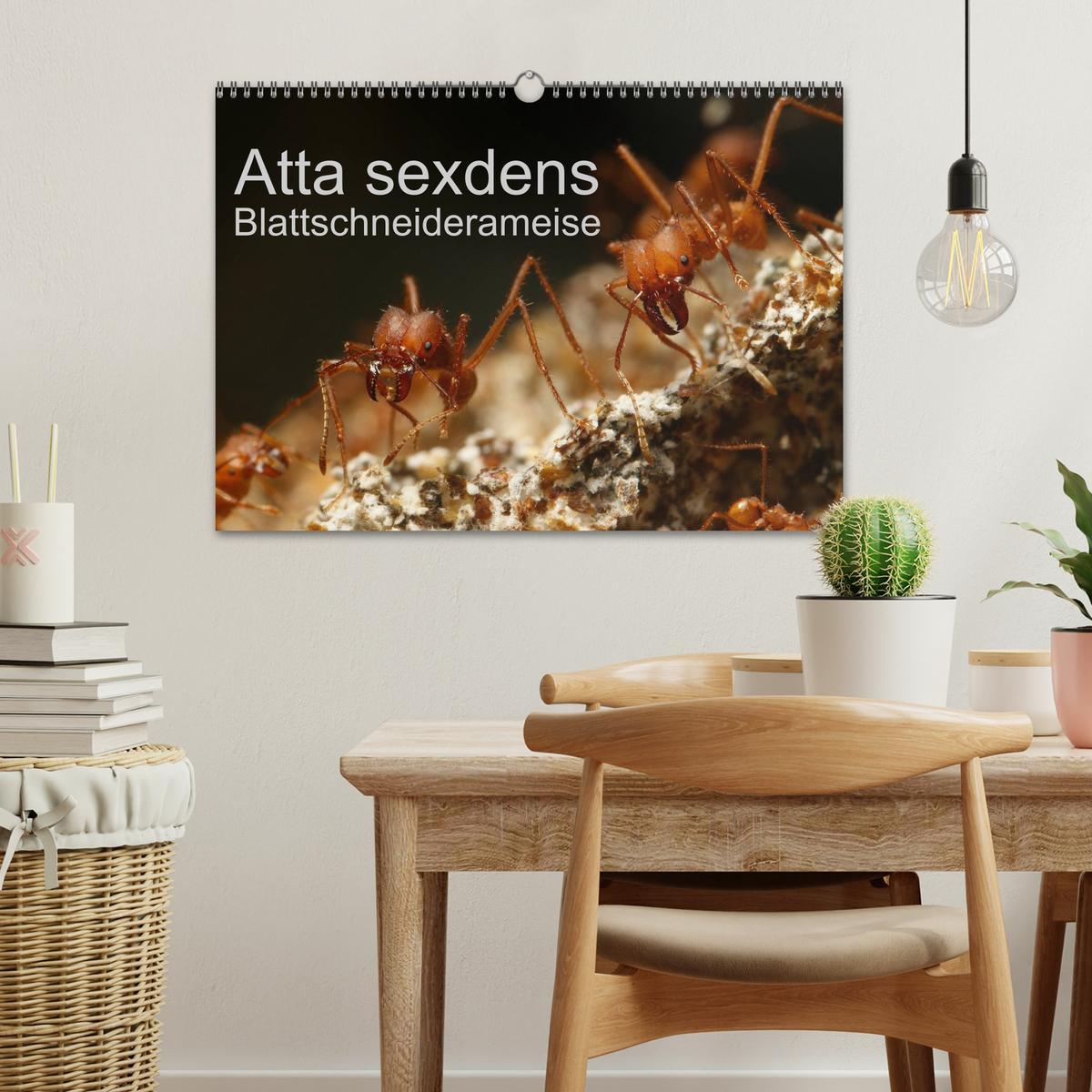 Bild: 9783435701537 | Atta sexdens - Blattschneiderameise (Wandkalender 2025 DIN A3...