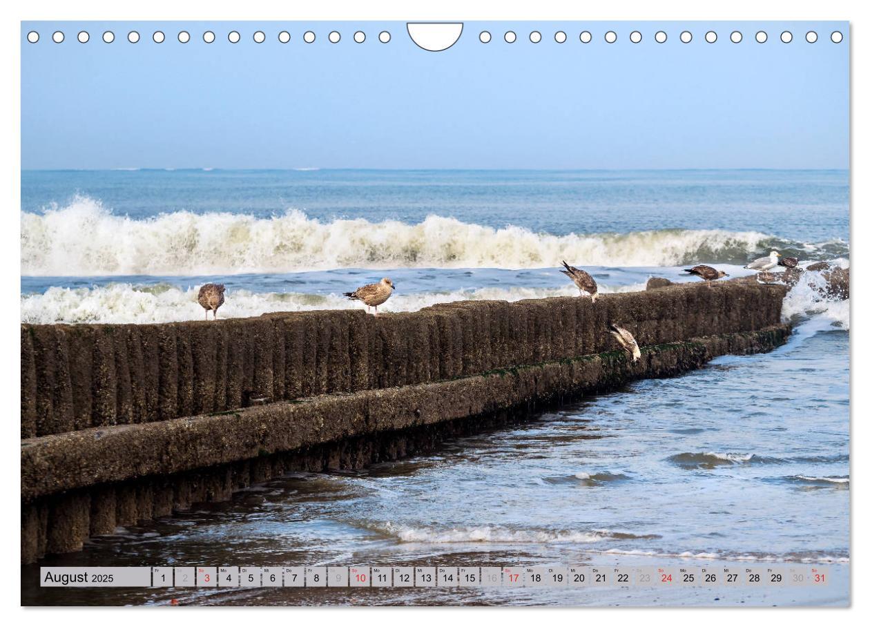 Bild: 9783435282456 | Norderney Spaziergang (Wandkalender 2025 DIN A4 quer), CALVENDO...