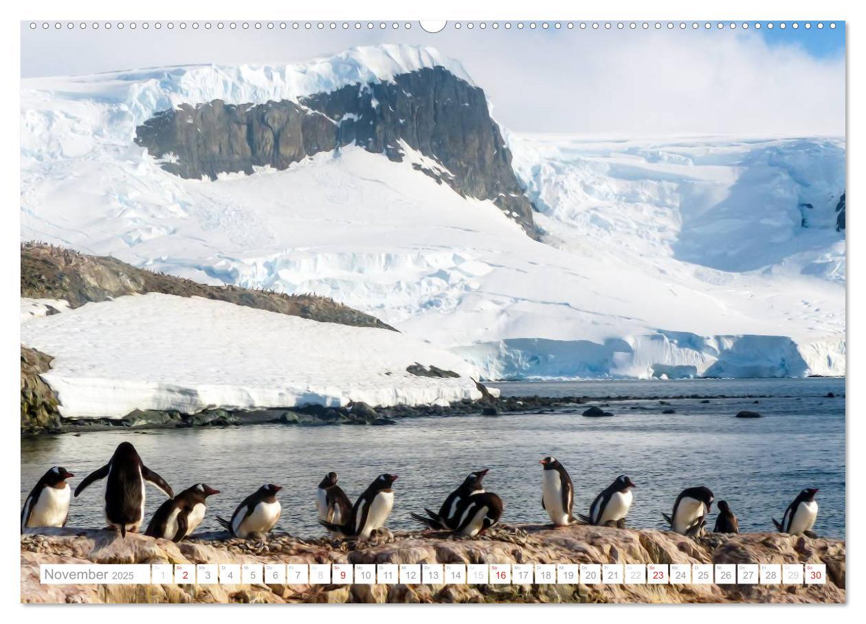 Bild: 9783435801572 | Antarktis - Das Reich der Pinguine (Wandkalender 2025 DIN A2 quer),...