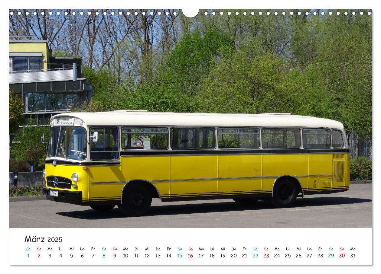 Bild: 9783435094479 | Omnibusse von heute und früher (Wandkalender 2025 DIN A3 quer),...