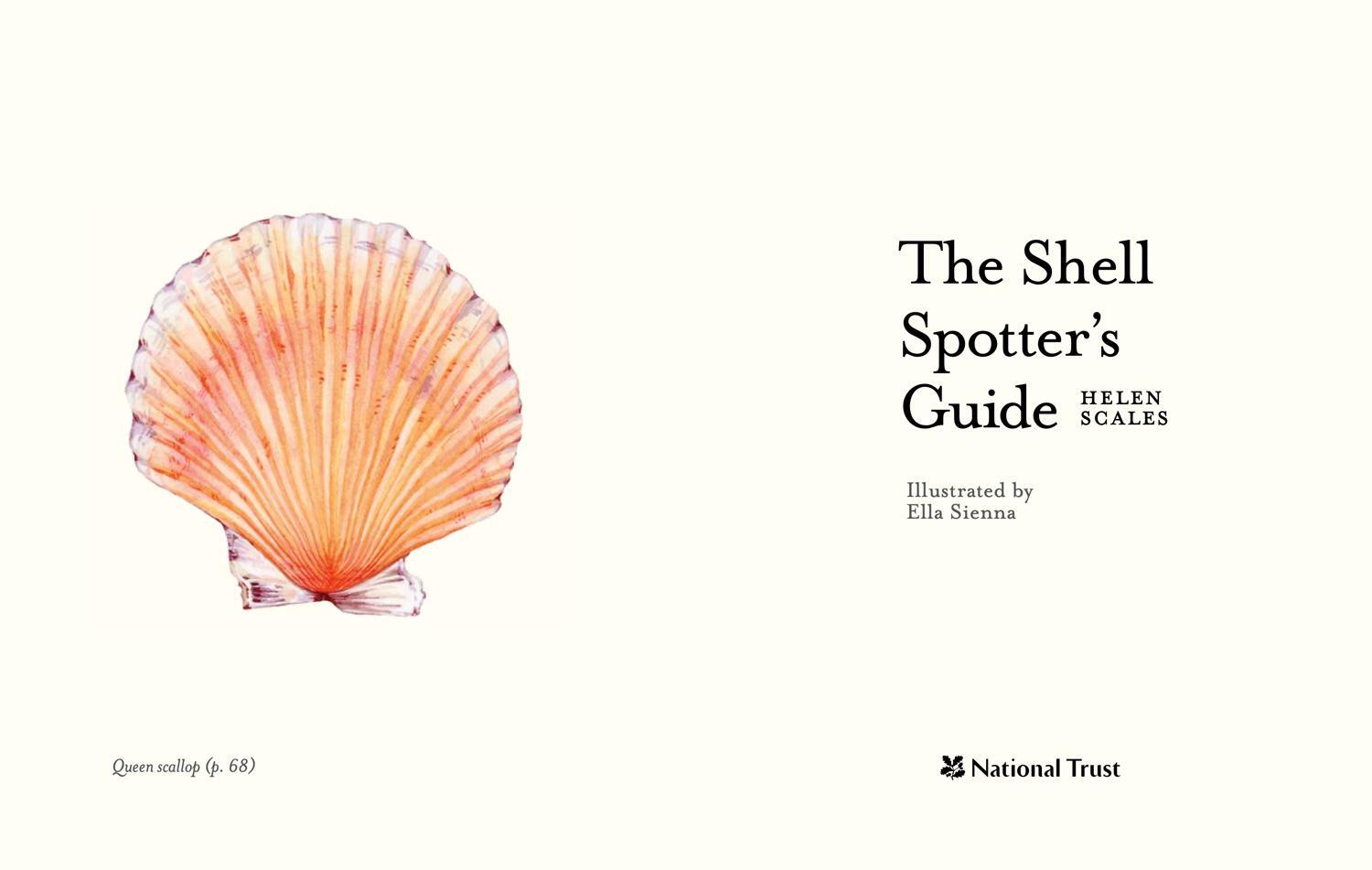 Bild: 9780008641313 | The Shell Spotter's Guide | Helen Scales | Buch | Englisch | 2024