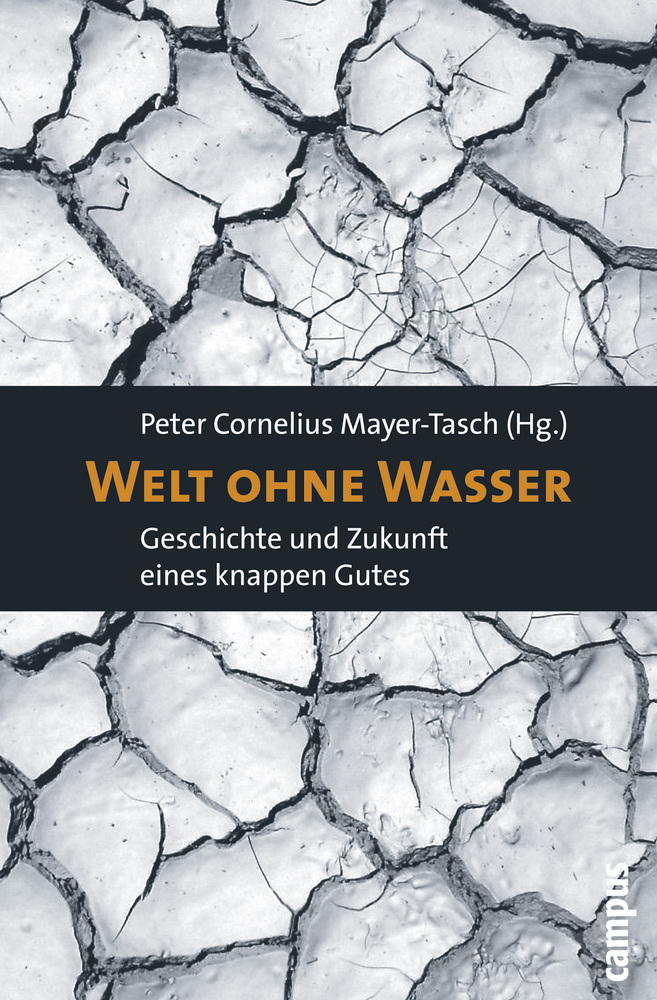 Cover: 9783593390376 | Welt ohne Wasser | Geschichte und Zukunft eines knappen Gutes | Buch