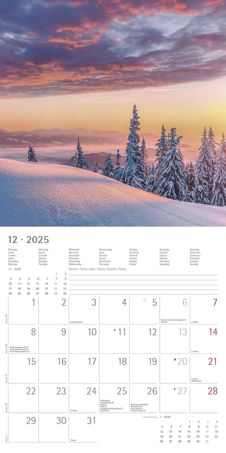 Bild: 4251732340902 | Sunny Moments 2025 - Broschürenkalender 30x30 cm (30x60 geöffnet) -...