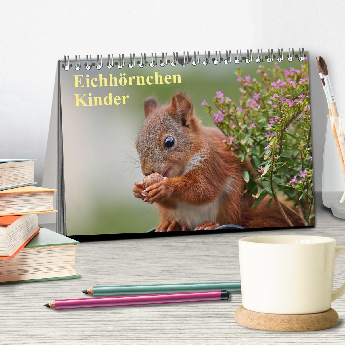 Bild: 9783435545780 | Eichhörnchen Kinder (Tischkalender 2025 DIN A5 quer), CALVENDO...