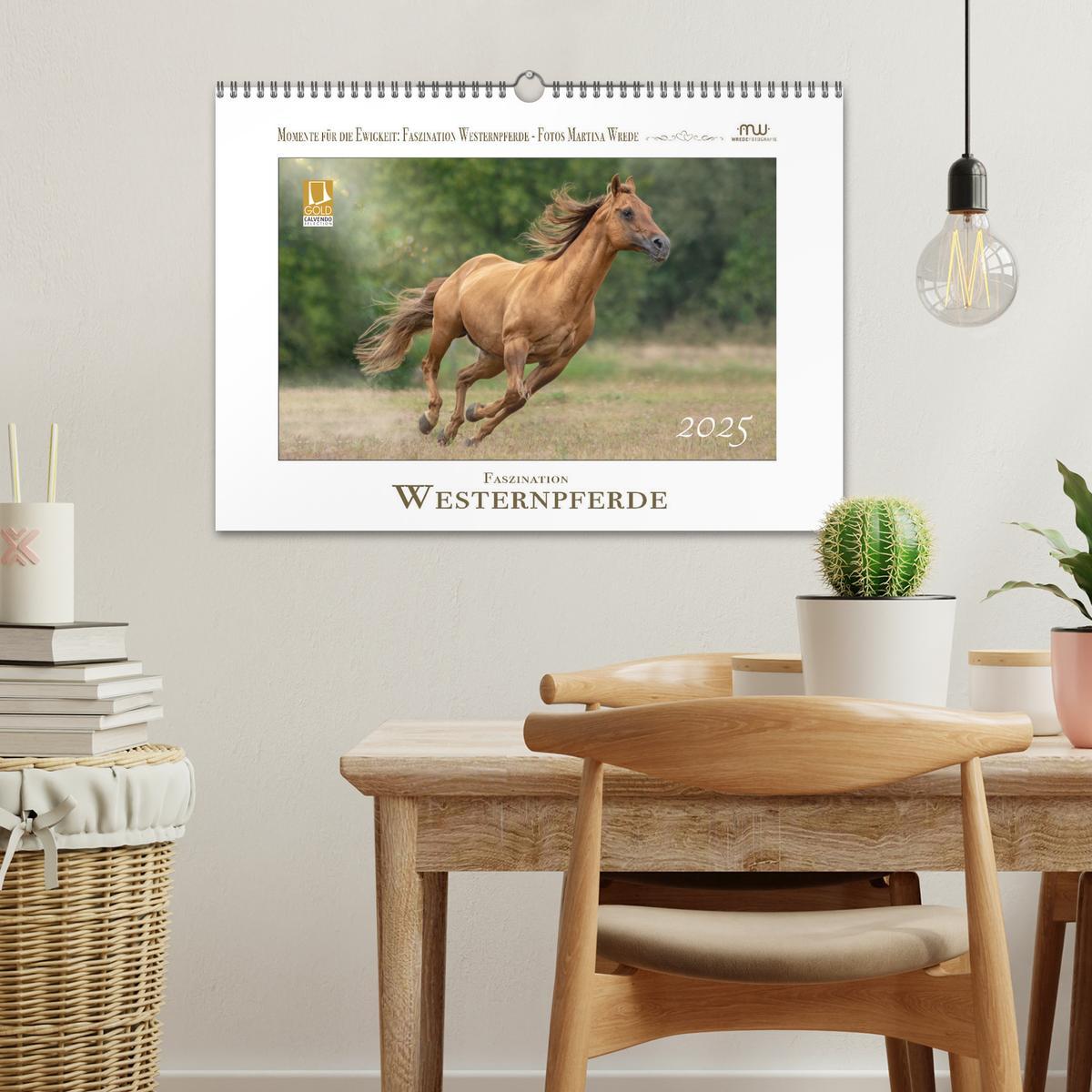 Bild: 9783435087488 | Faszination Westernpferde (Wandkalender 2025 DIN A3 quer), CALVENDO...