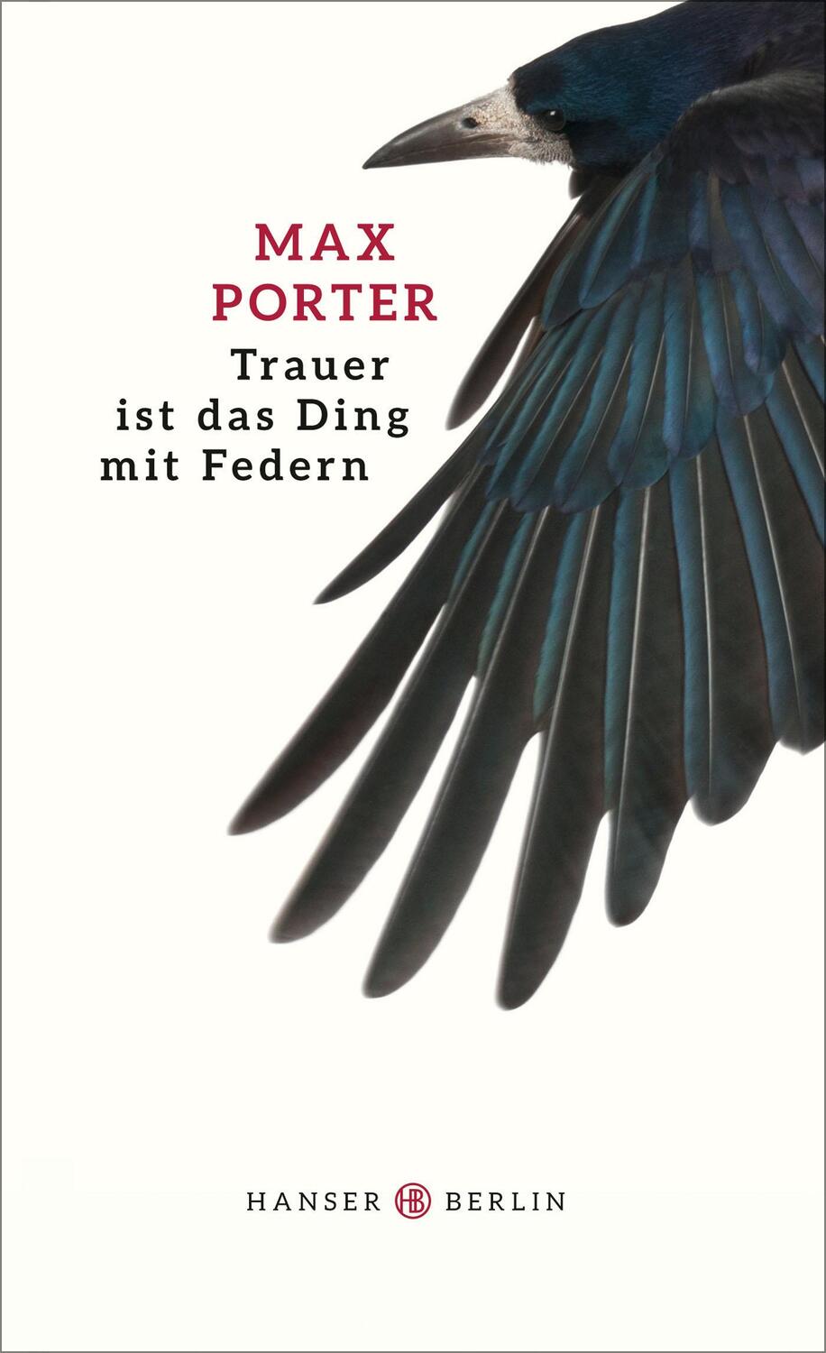 Cover: 9783446249561 | Trauer ist das Ding mit Federn | Max Porter | Buch | 128 S. | Deutsch