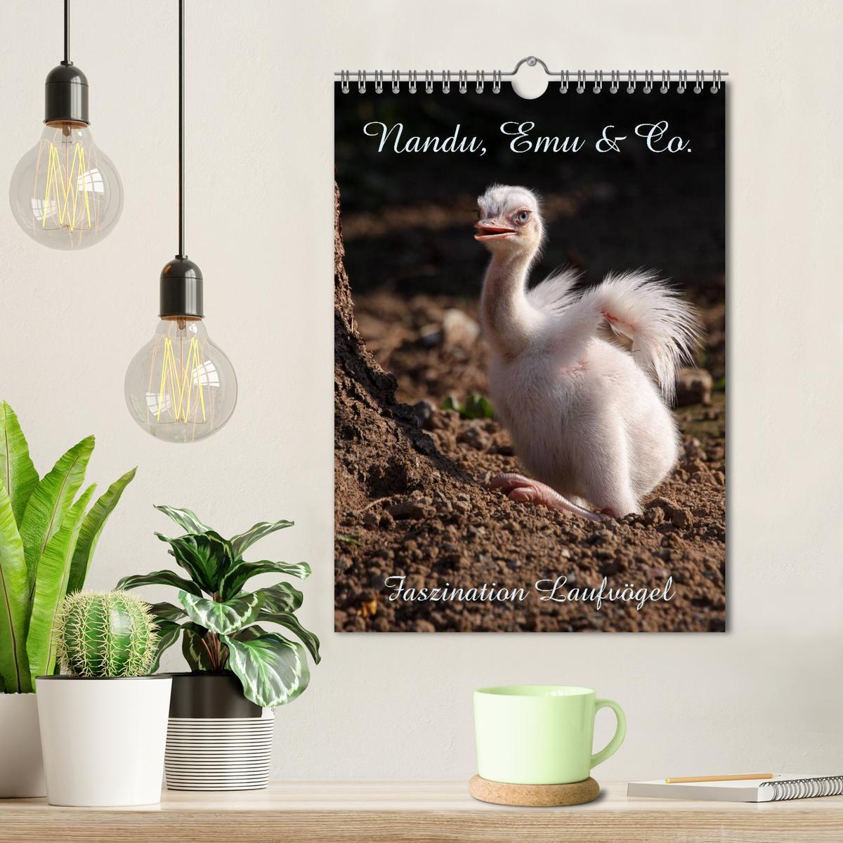 Bild: 9783457076170 | Nandu, Emu &amp; Co. (Wandkalender 2025 DIN A4 hoch), CALVENDO...