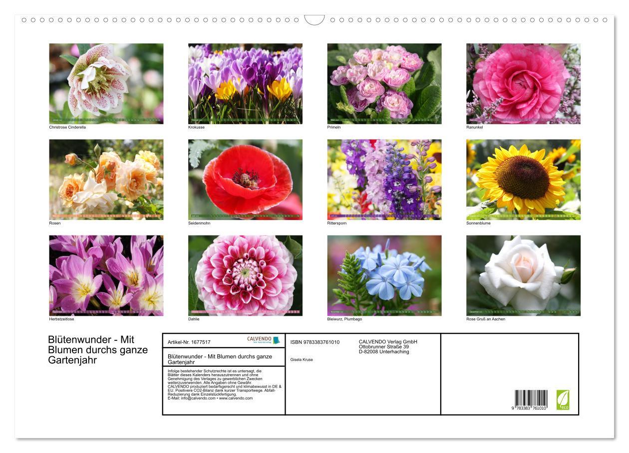 Bild: 9783383761010 | Blütenwunder - Mit Blumen durchs ganze Gartenjahr (Wandkalender...